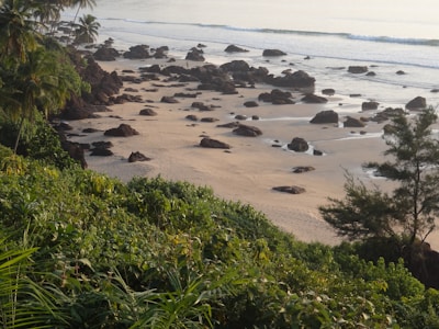 A beautiful beach scene at the Great Barrier Reef, Australia.