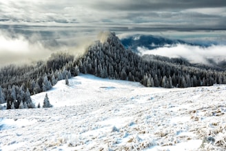 a mountain covered in snow and surrounded by trees