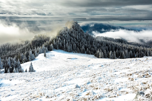 a mountain covered in snow and surrounded by trees