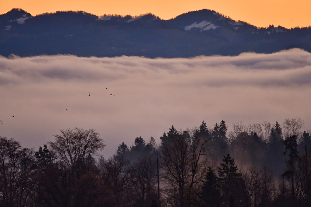 a view of a mountain covered in fog