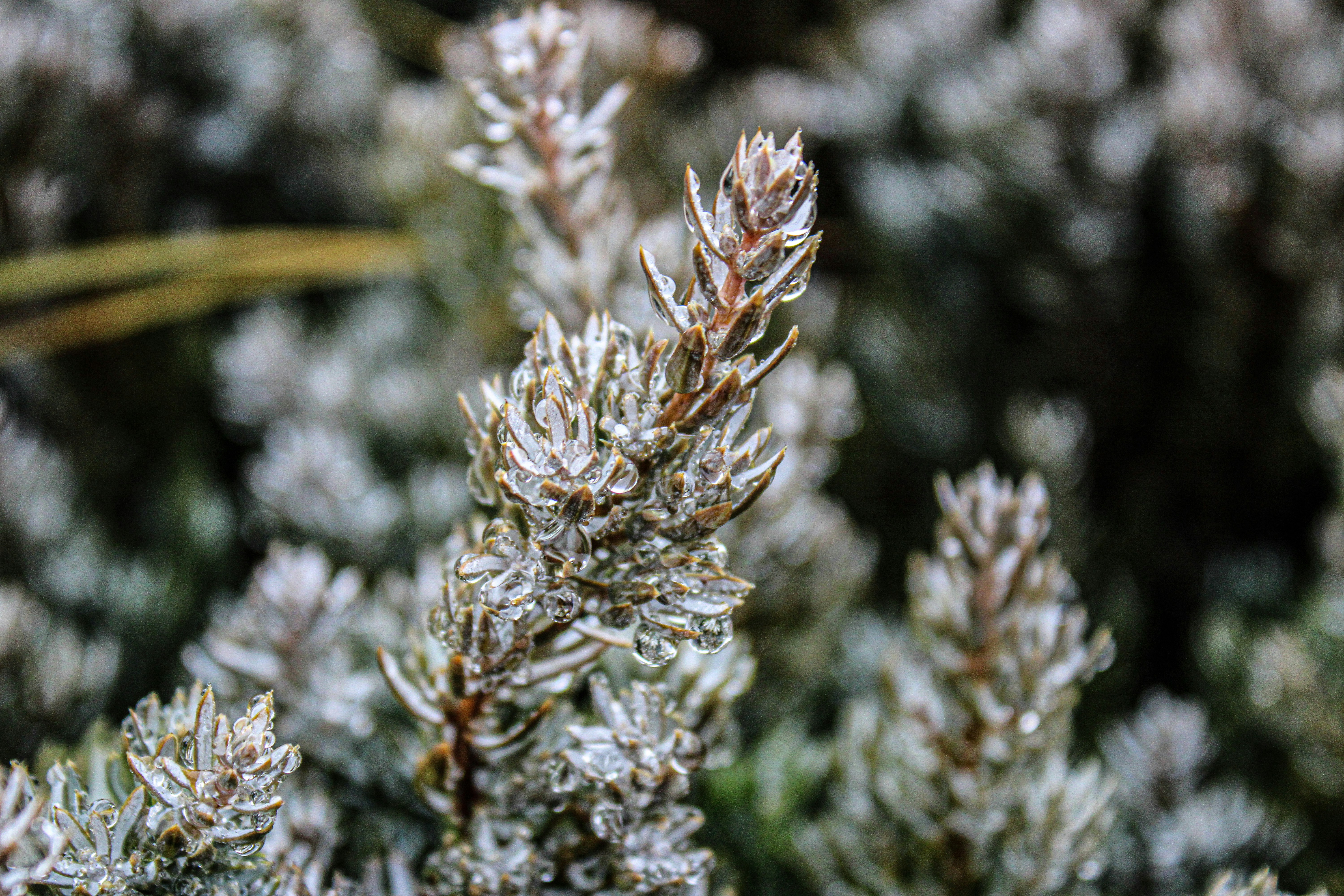 Photo by prphotography262