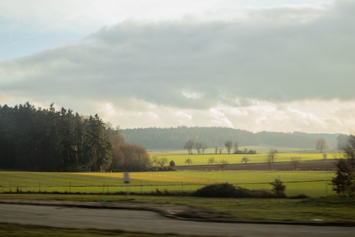 A peaceful rural landscape in Warmia and Mazury with green fields and a clear sky