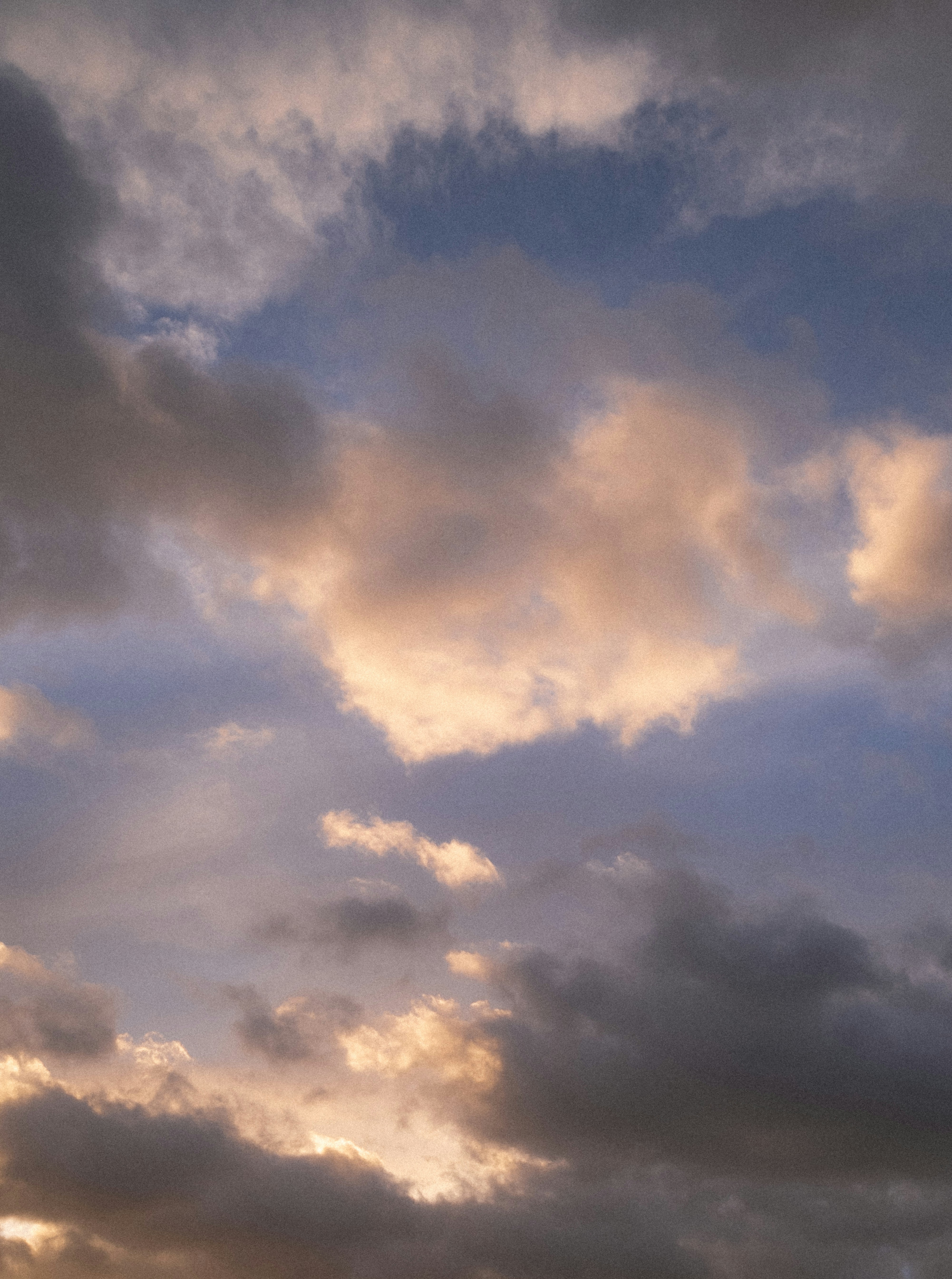 Photo by damian_ochrymowicz