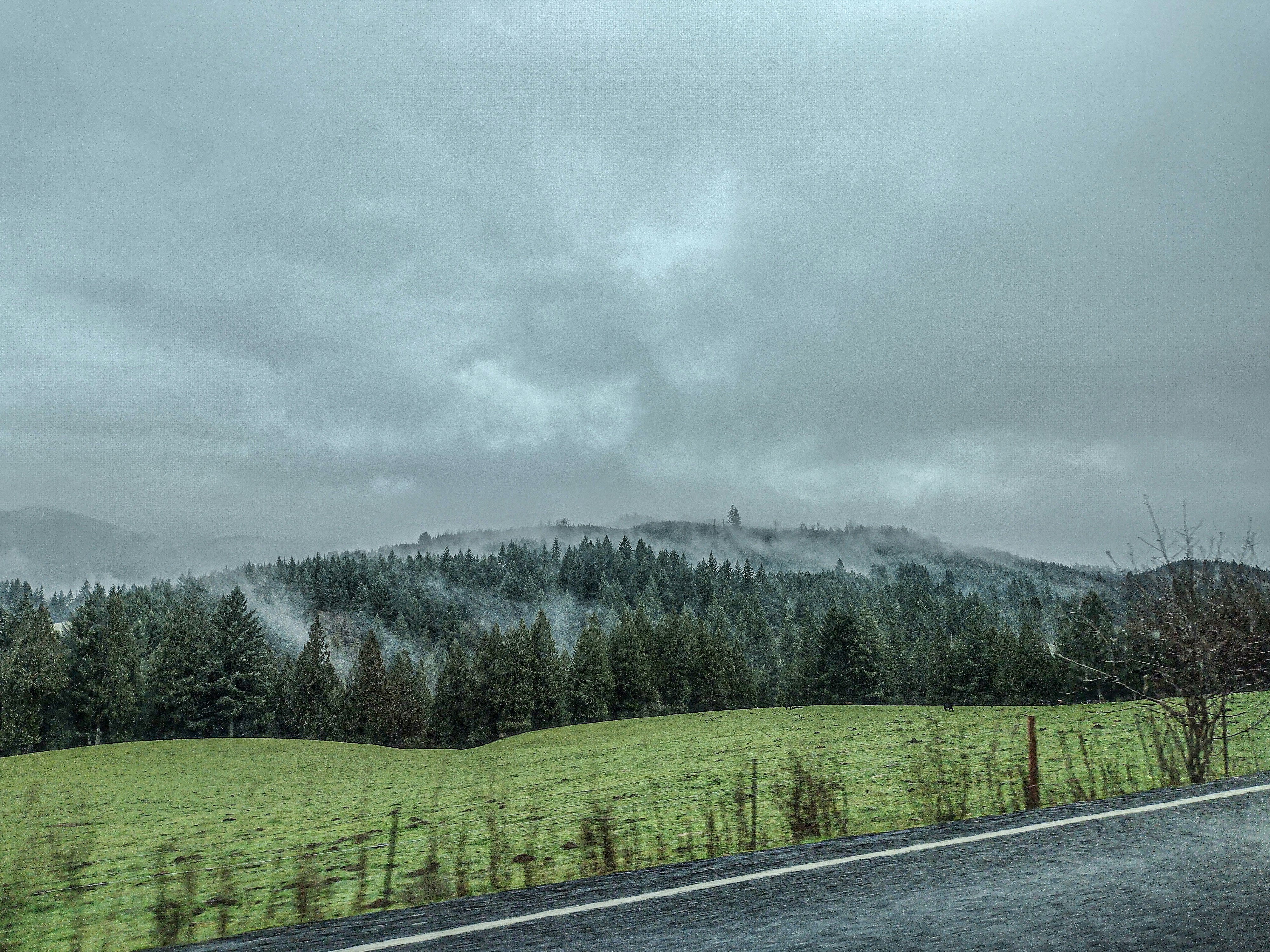 Photo by prphotography262