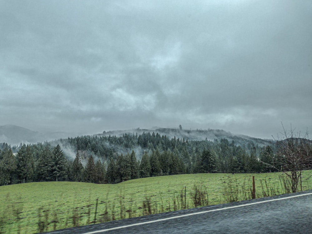 eine Straße, die durch eine üppig grüne Landschaft führt