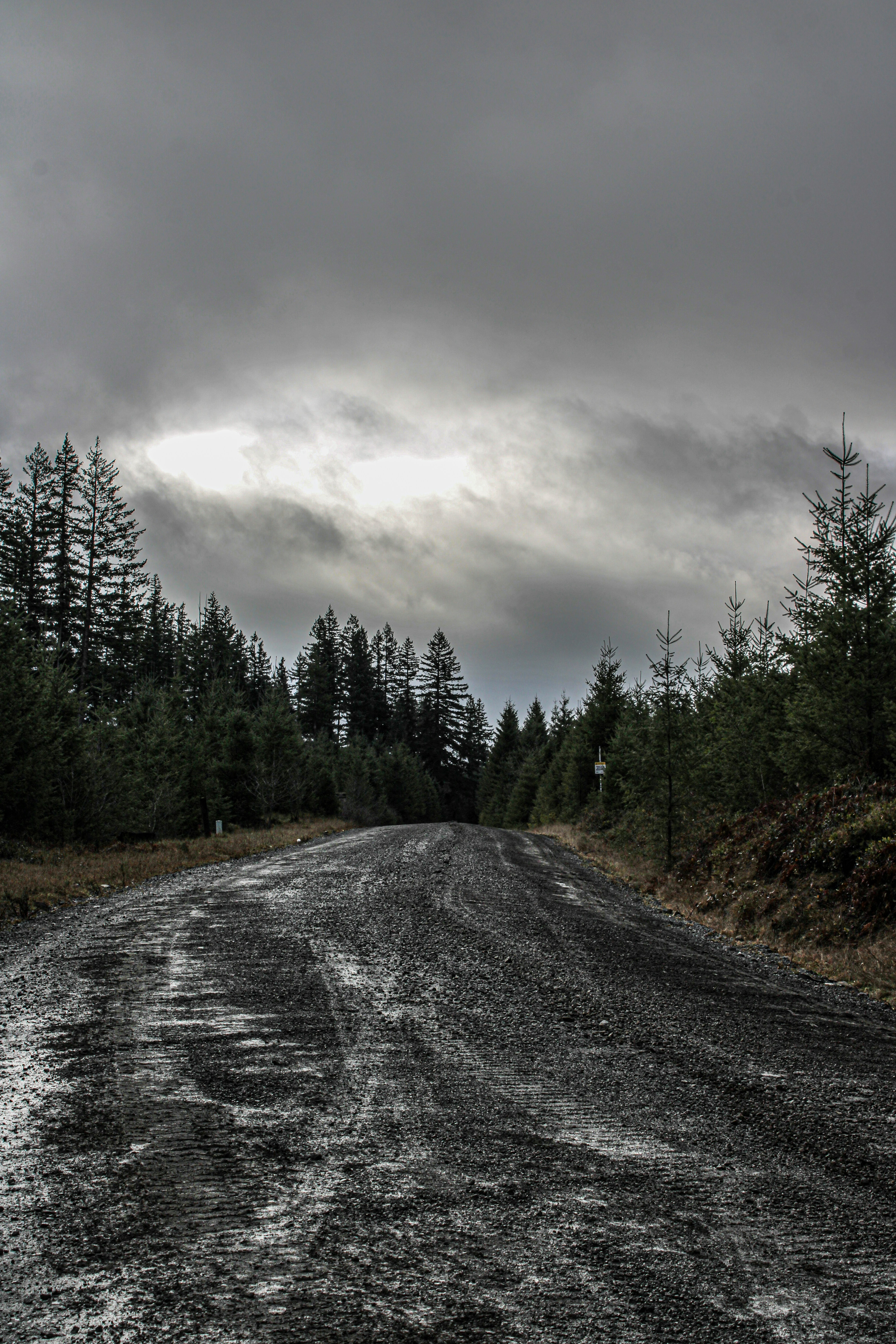 Photo by prphotography262