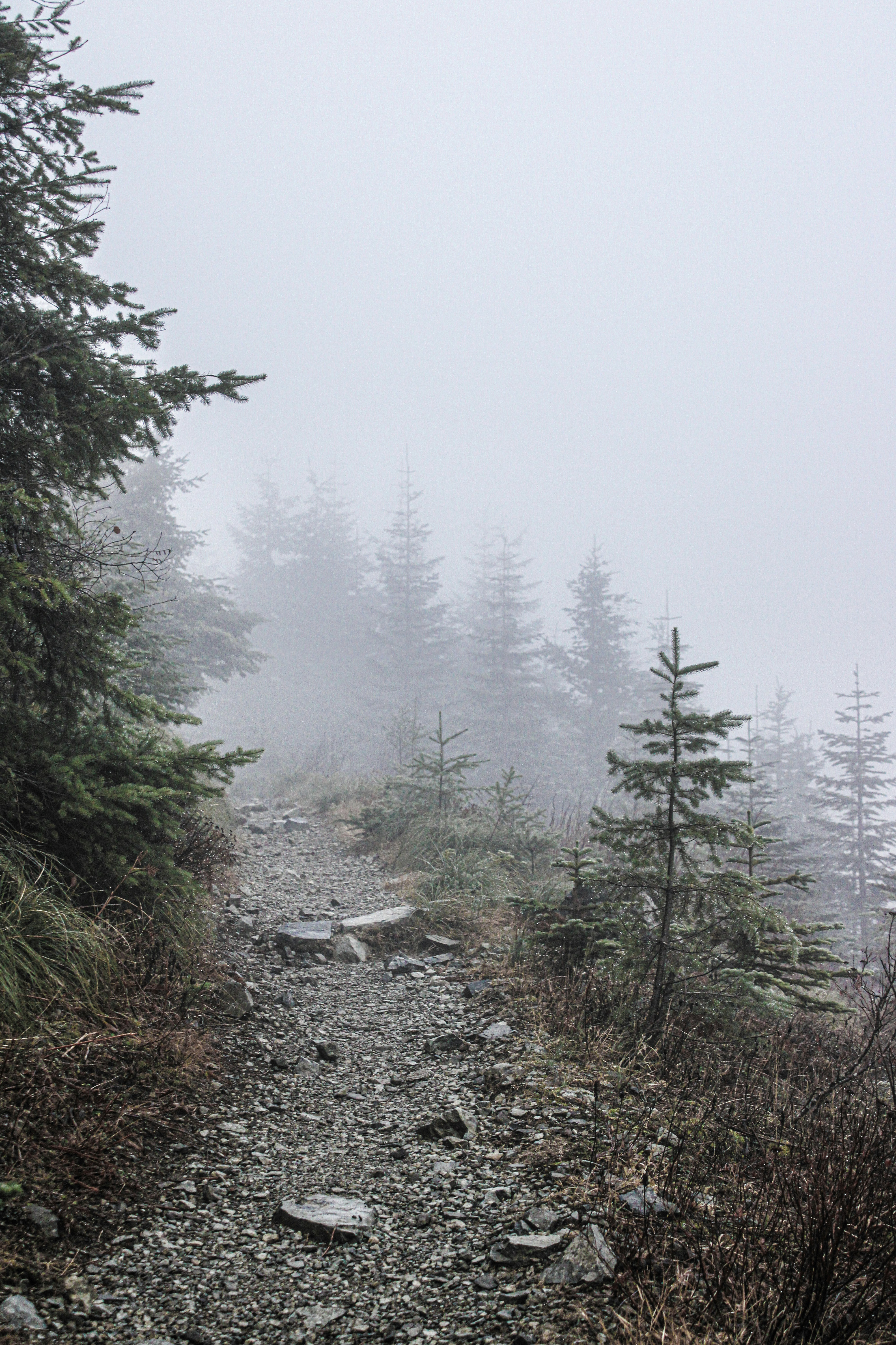 Photo by prphotography262