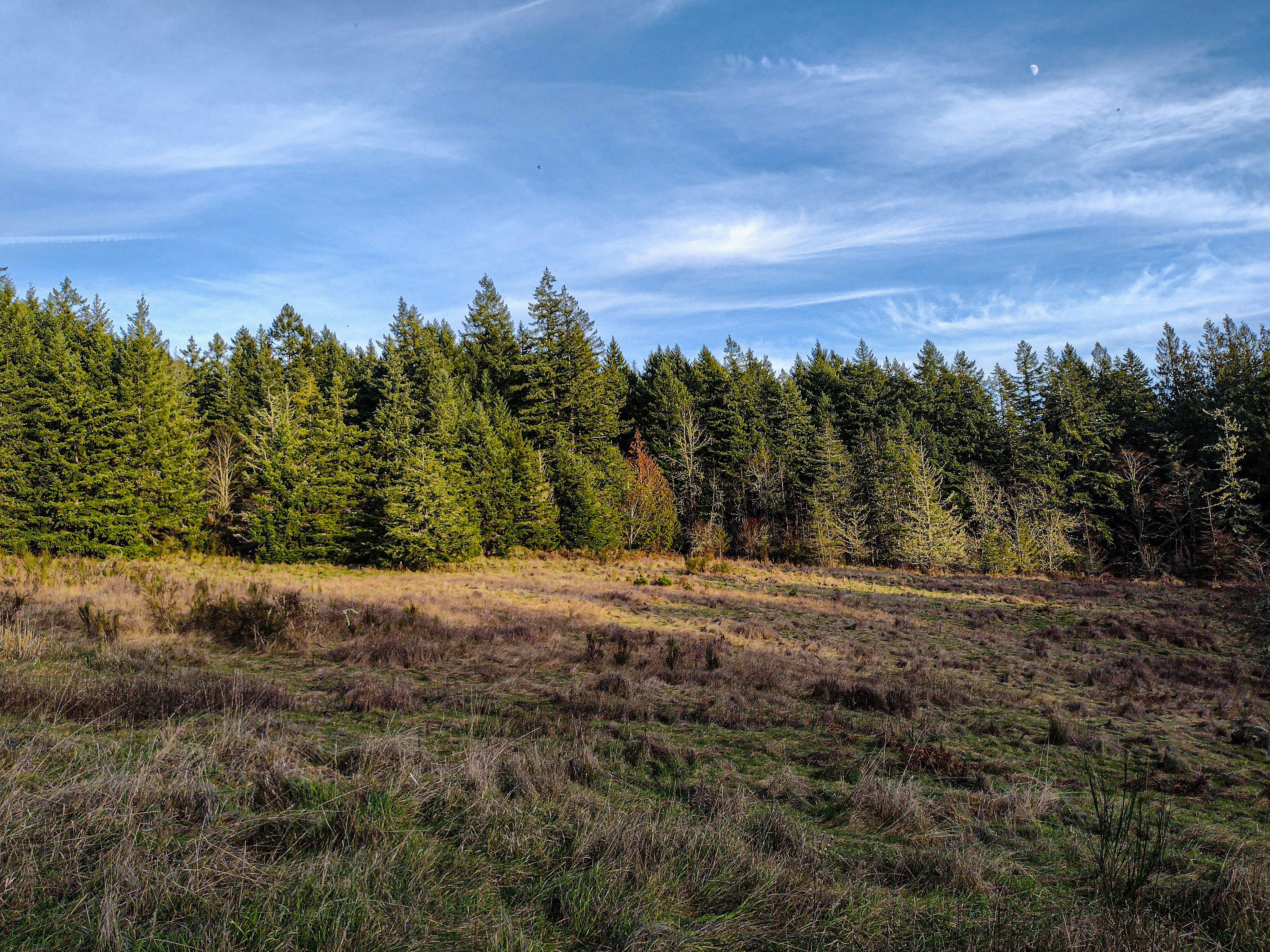 Photo by prphotography262