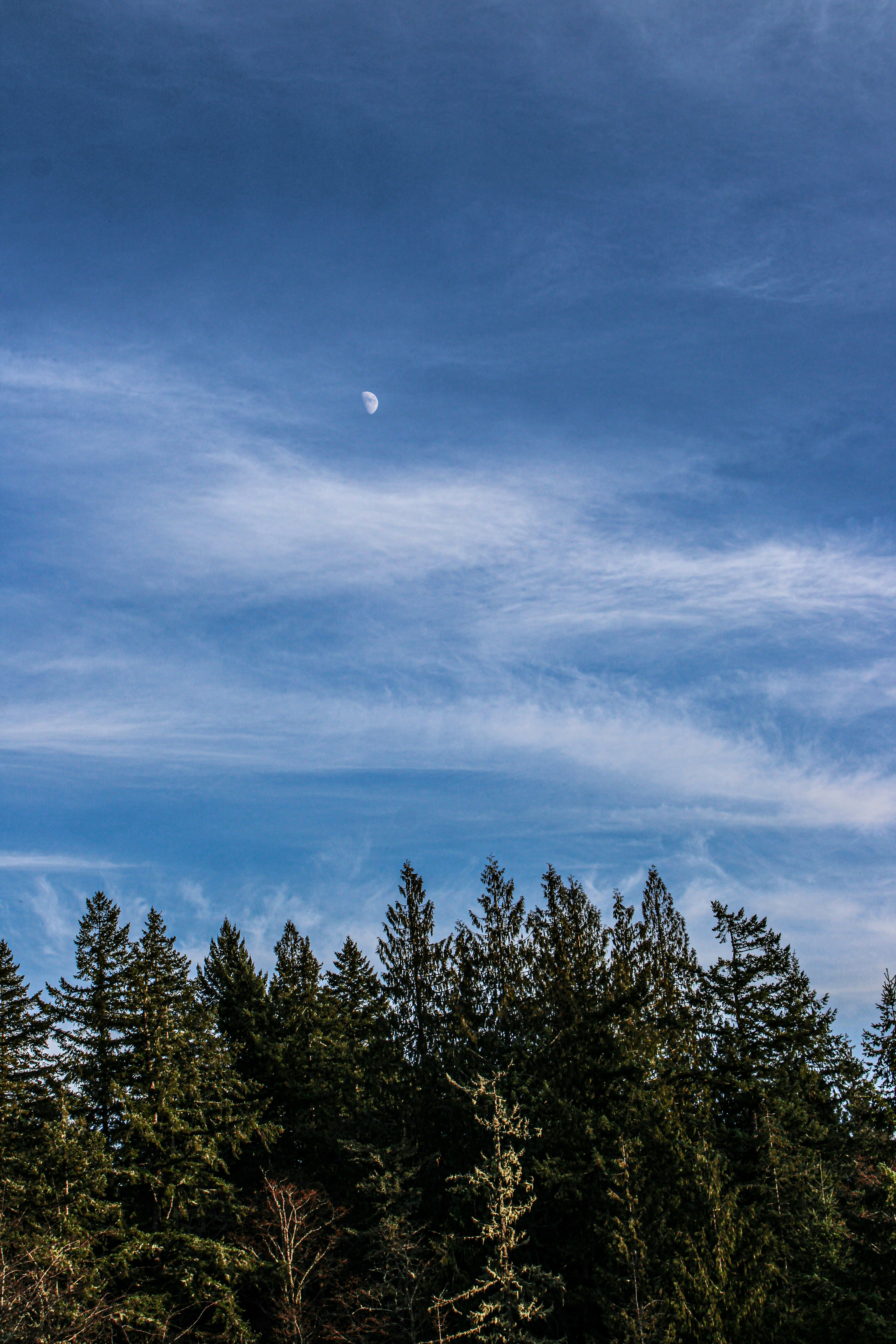 머리숱 부자 되는 비밀 레시피: 탈모 고민, 이제 굿바이!