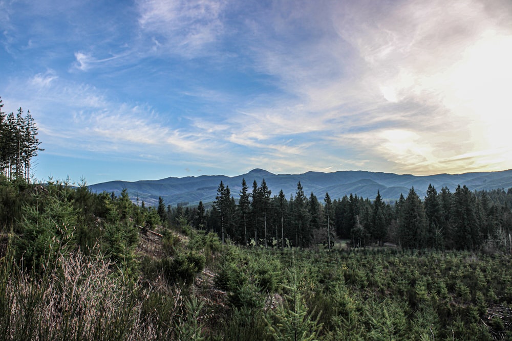 a scenic view of a mountain range with trees and mountains in the background