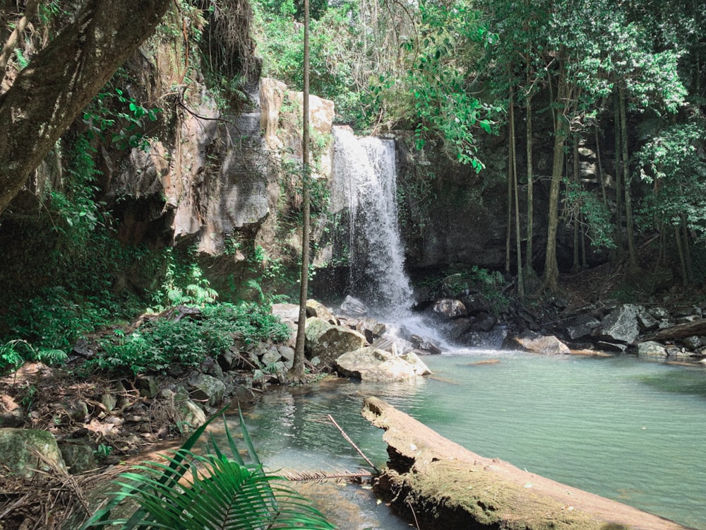 a small waterfall in the middle of a forest