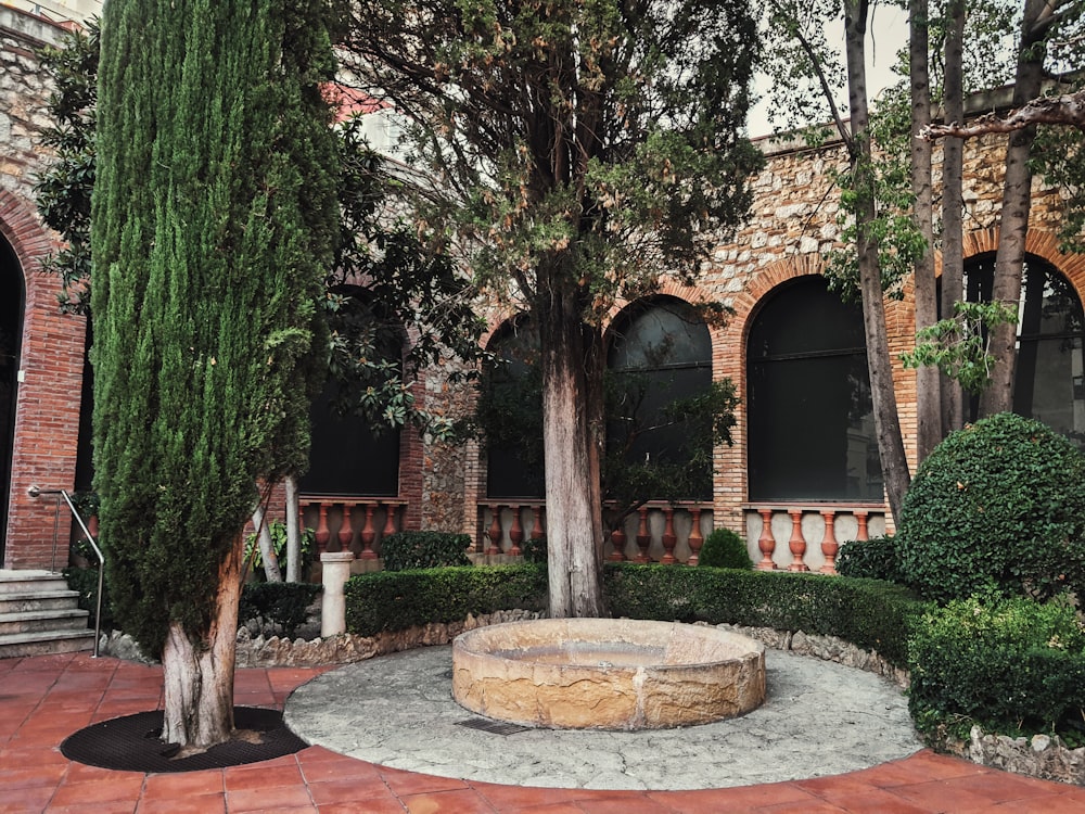 a courtyard with a tree and a stone bench