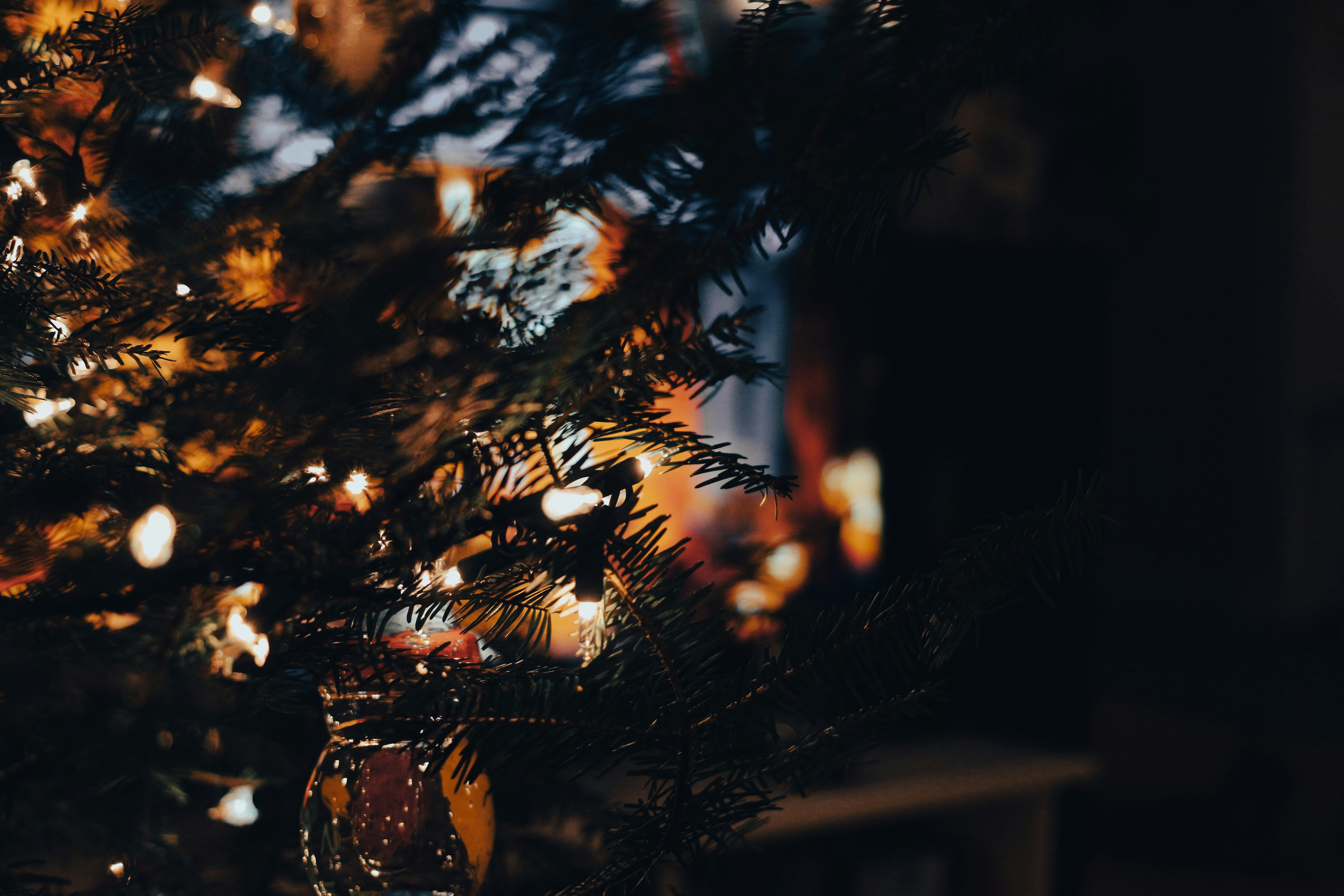 Eine Nahaufnahme eines Weihnachtsbaums mit Lichtern