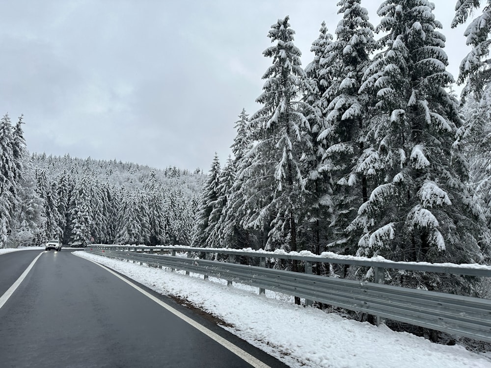 a road in the middle of a forest covered in snow