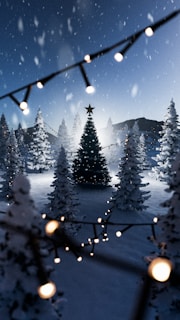 a snowy landscape with christmas trees and lights