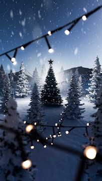 Snow-covered pine trees under a starry night sky.