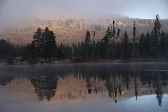 A wide shot of a misty lake at dawn, with reflections of tall pine trees on the water.