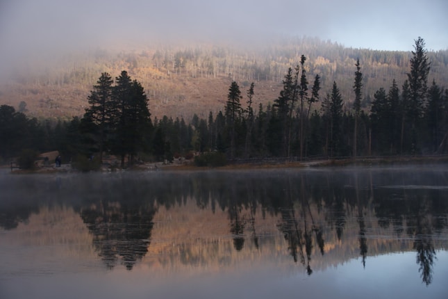 A misty lake surrounded by tall pine trees is in the foreground, with their reflection visible on the still water. In the background, a forested mountain is partially illuminated by soft sunlight, creating a serene and natural setting.