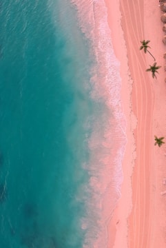 an aerial view of a beach with palm trees