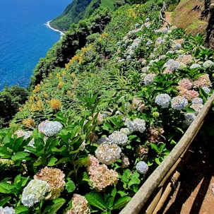 a wooden rail with flowers growing on the side of it