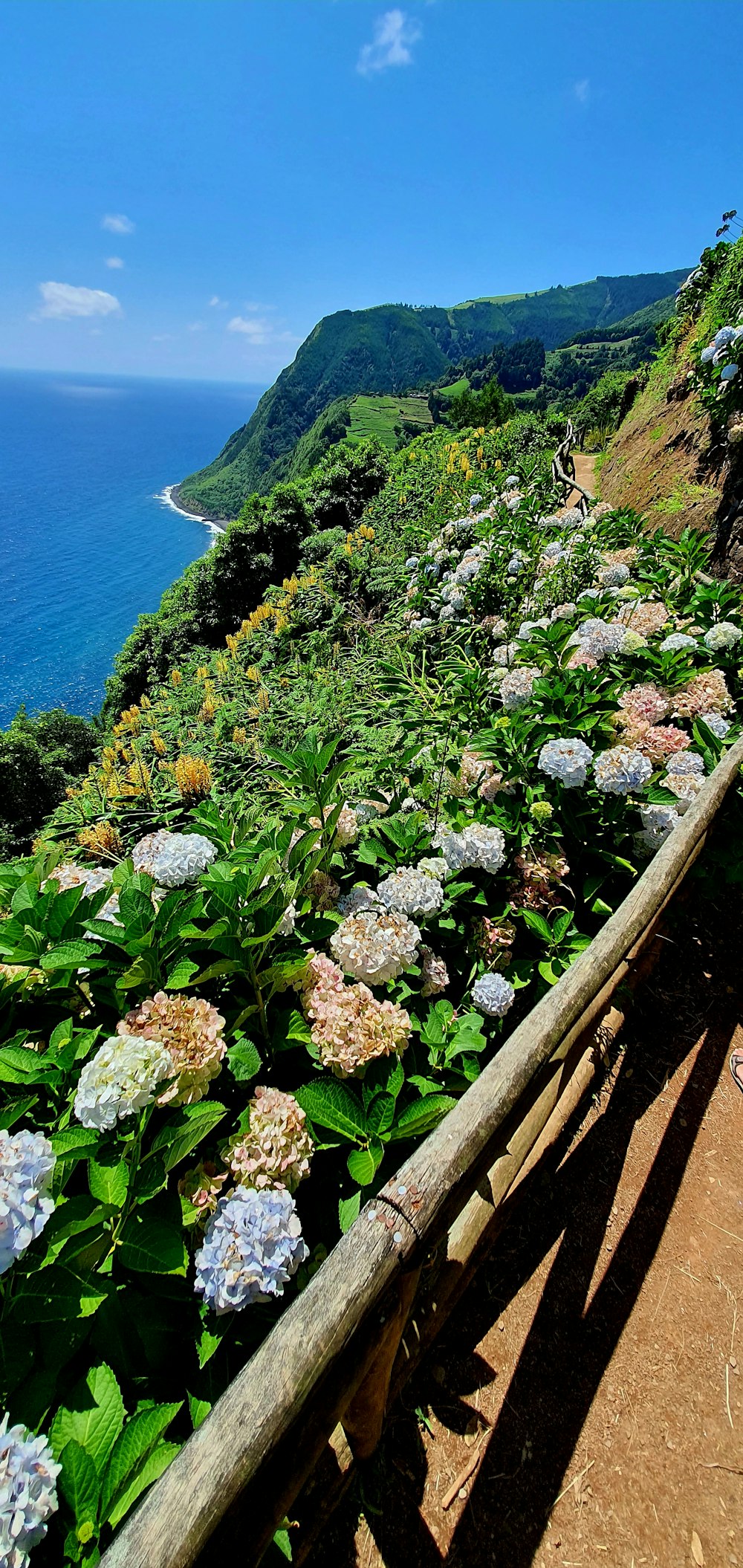 a wooden rail with flowers growing on the side of it