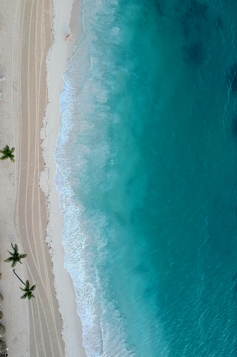 an aerial view of a sandy beach and ocean