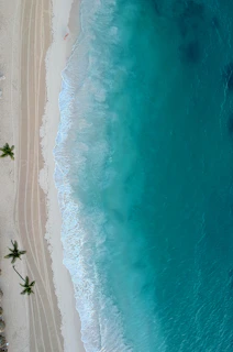 an aerial view of a sandy beach and ocean