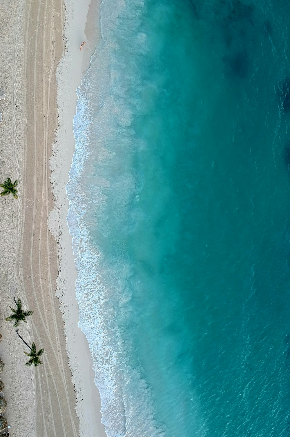 Una vista aérea de una playa de arena y el océano