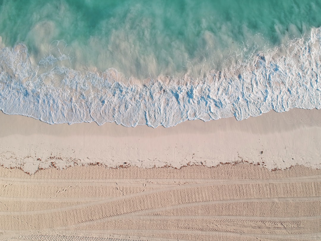 an aerial view of a beach and ocean,