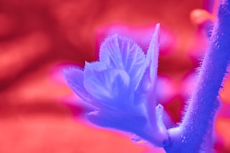 Abstract neural network visualization blending with aromatic plant textures.