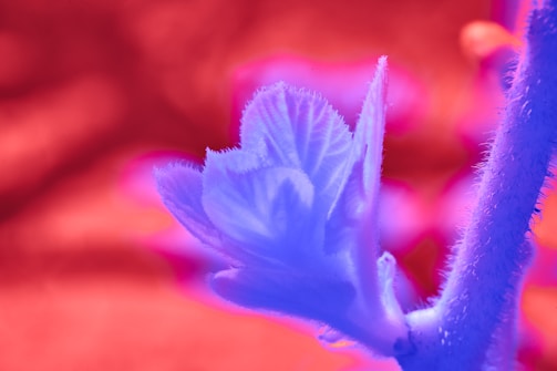 Abstract neural network visualization blending with aromatic plant textures.