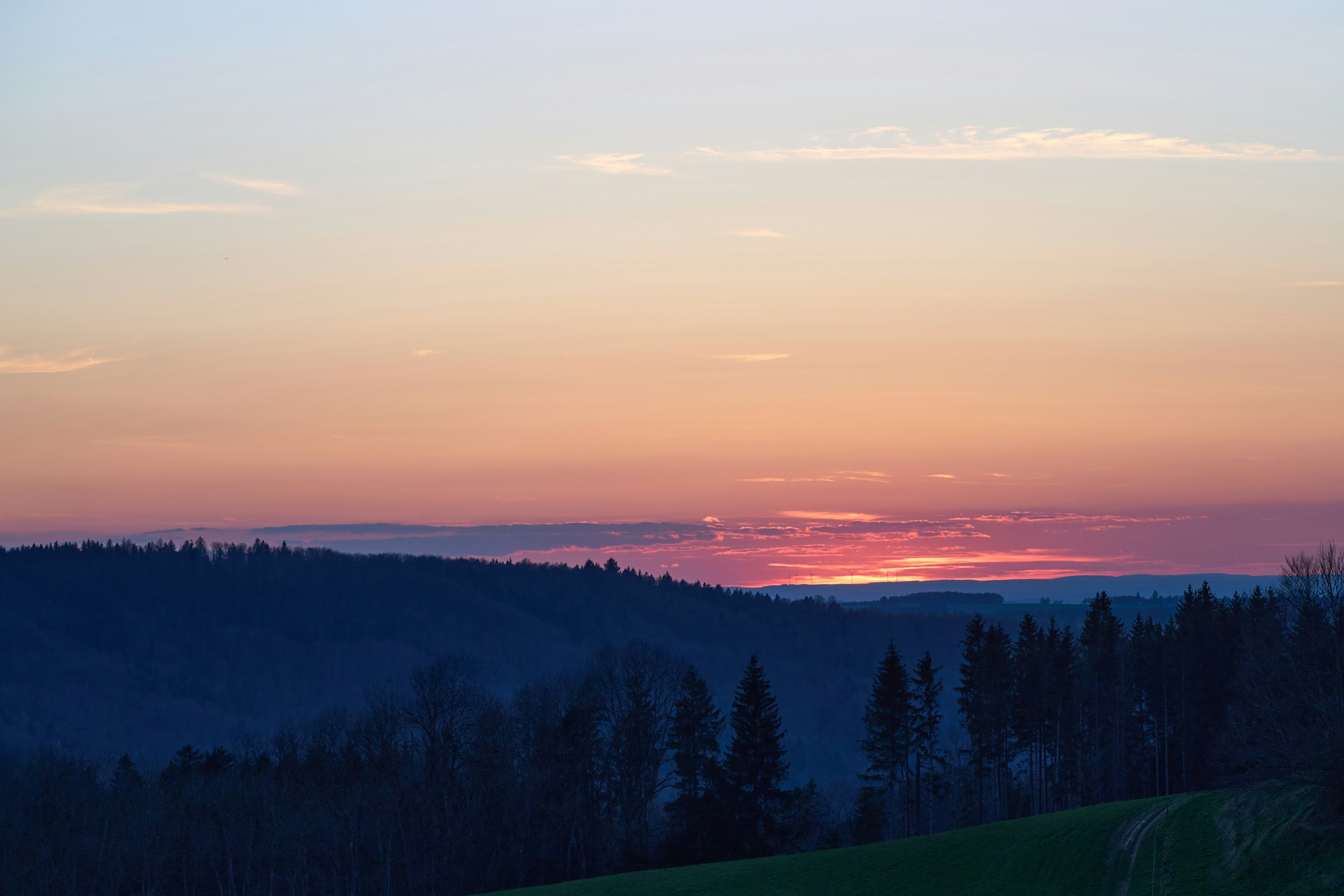 Photo by wolfgang_hasselmann