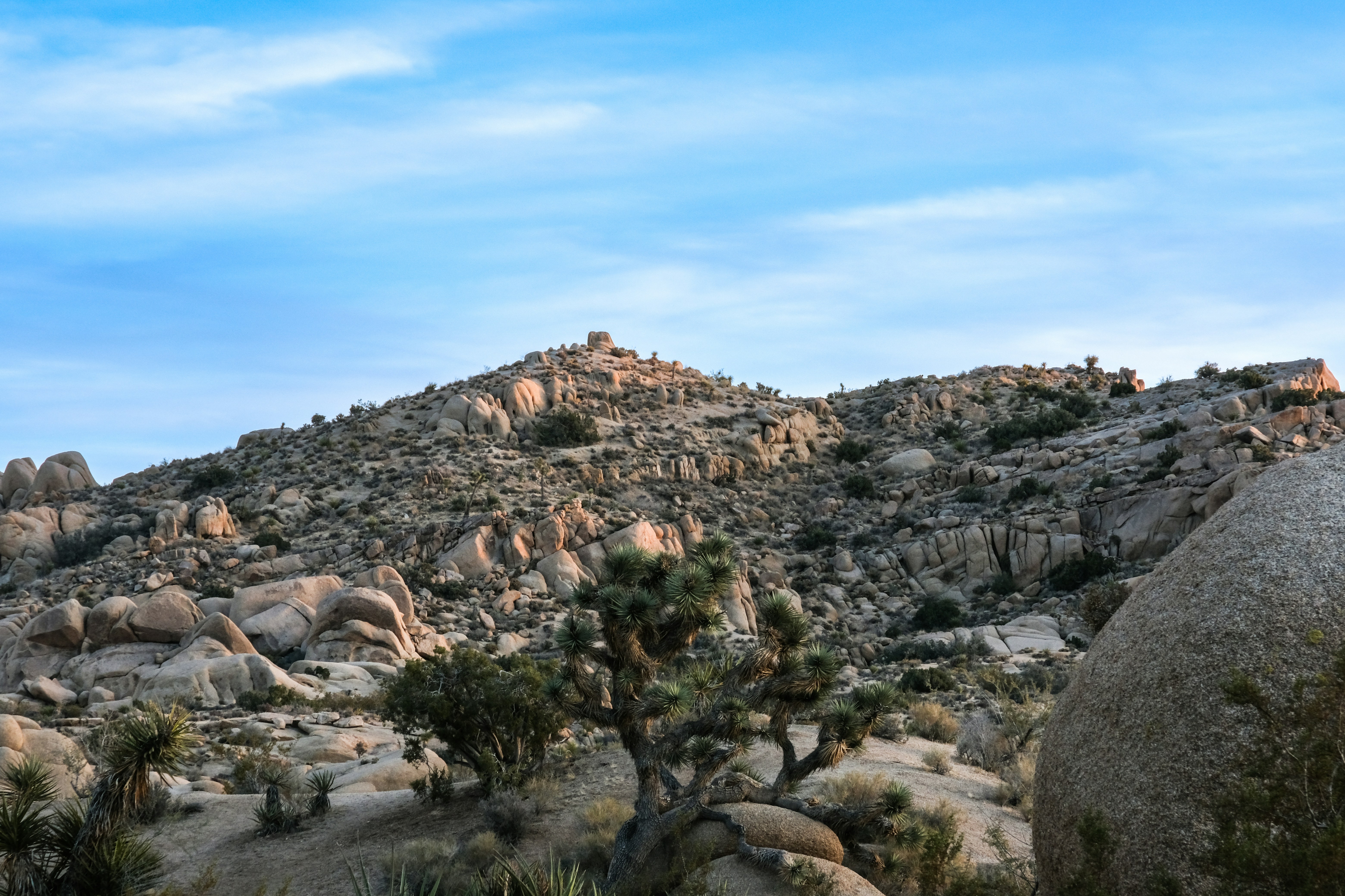 Photo by cestmoisheedy