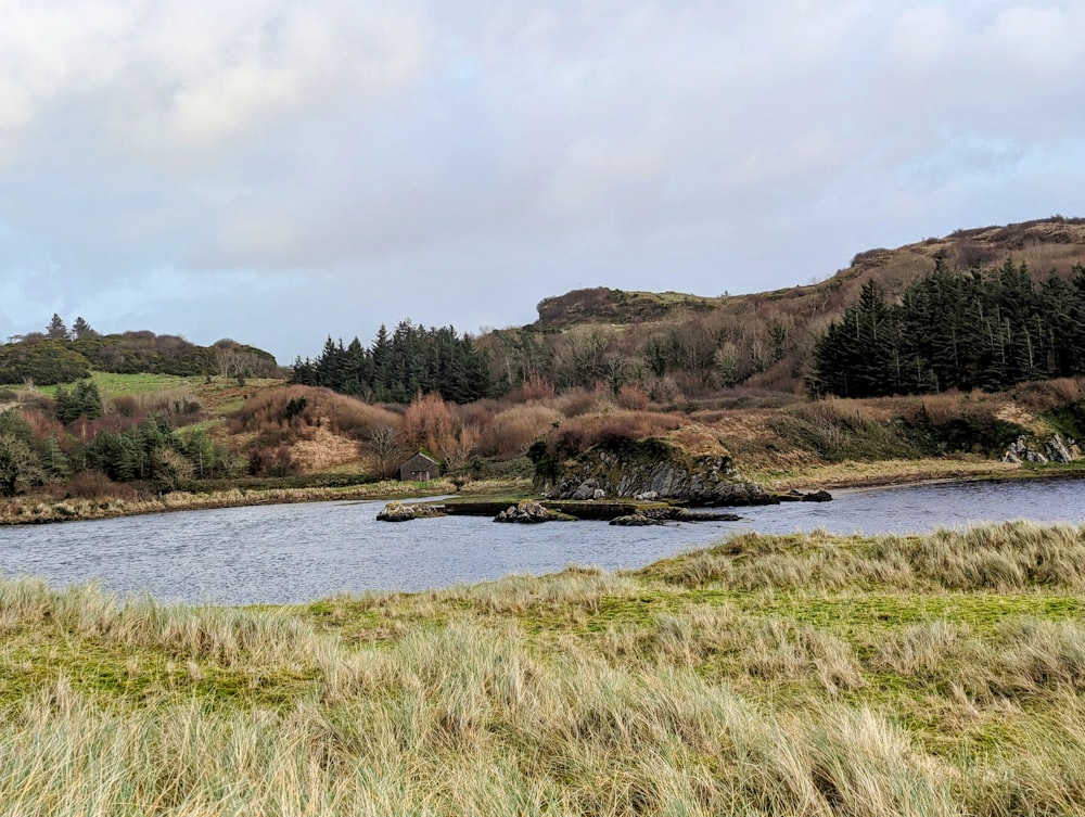 a large body of water surrounded by a lush green hillside