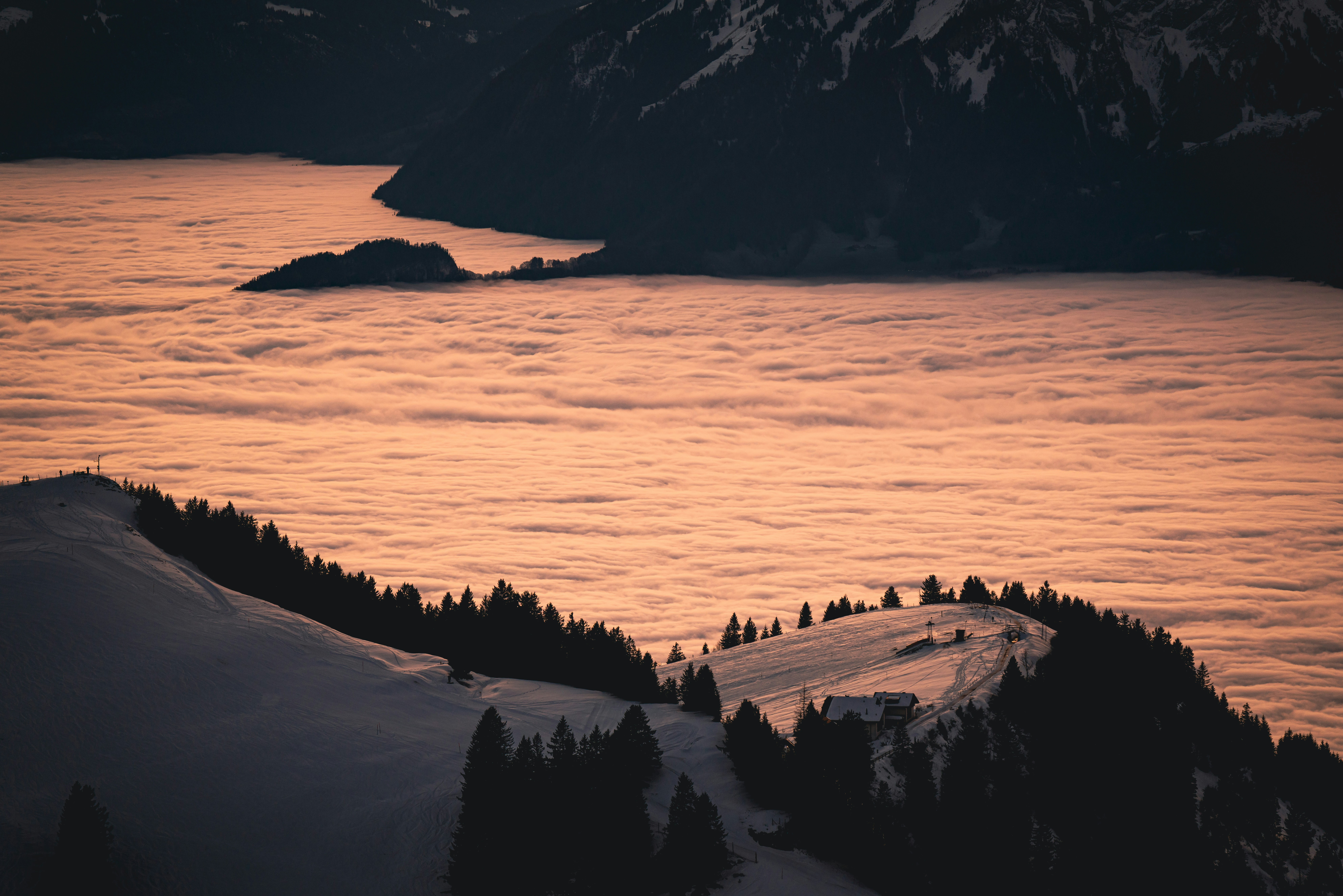 Photo by opohmelka