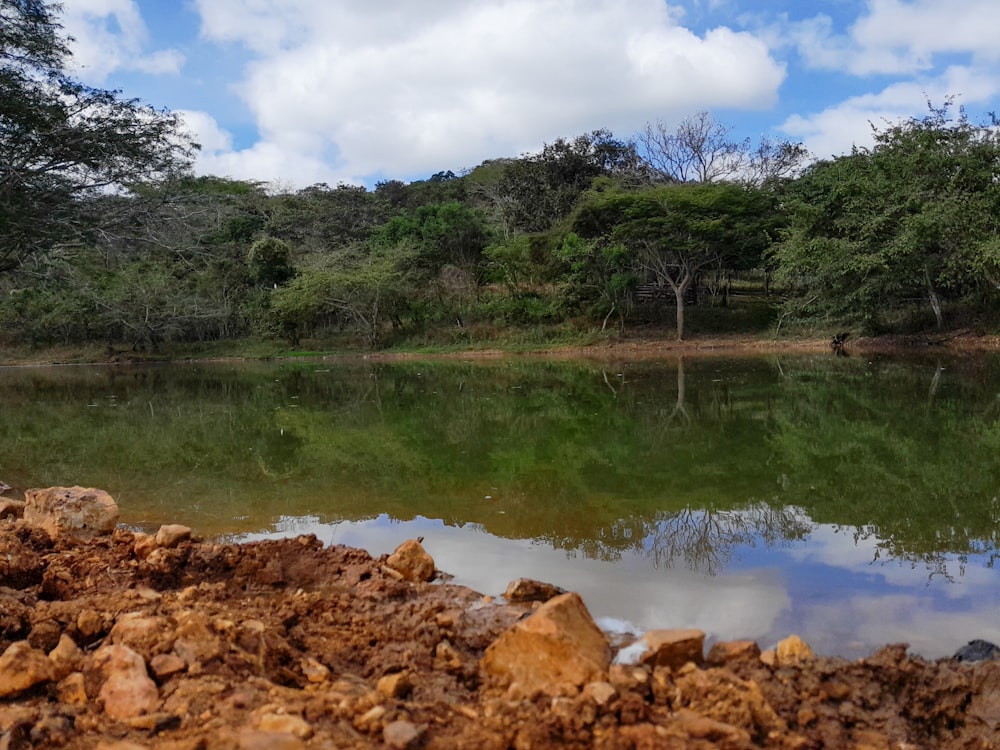 um corpo de água cercado por árvores e rochas