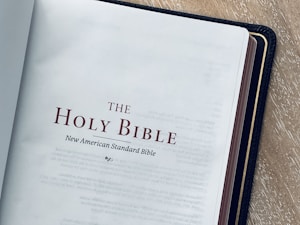 Biblia Moderna