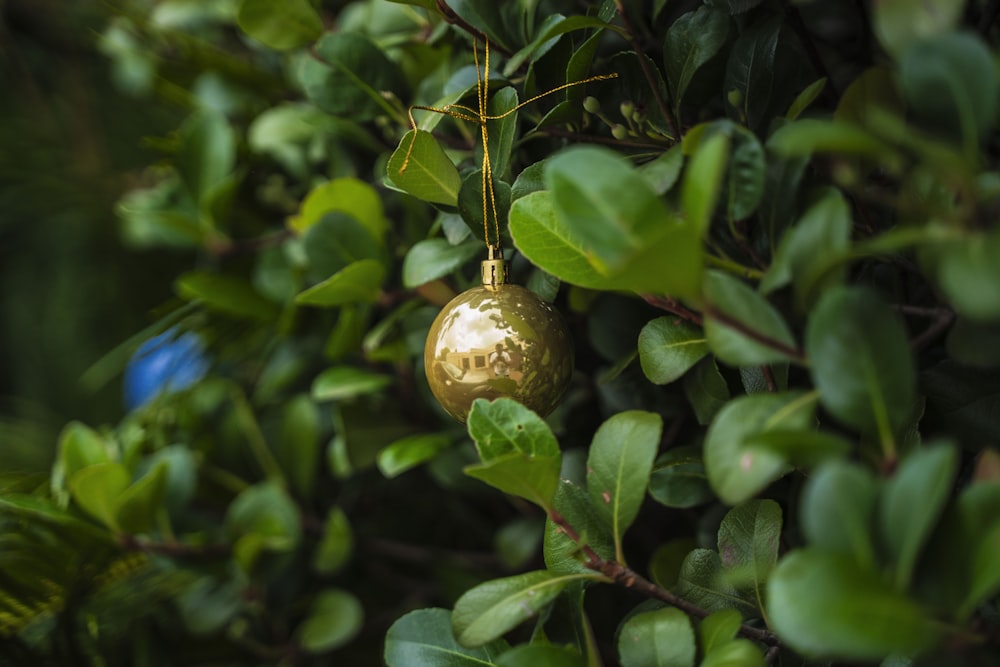 a gold ornament hanging from a tree