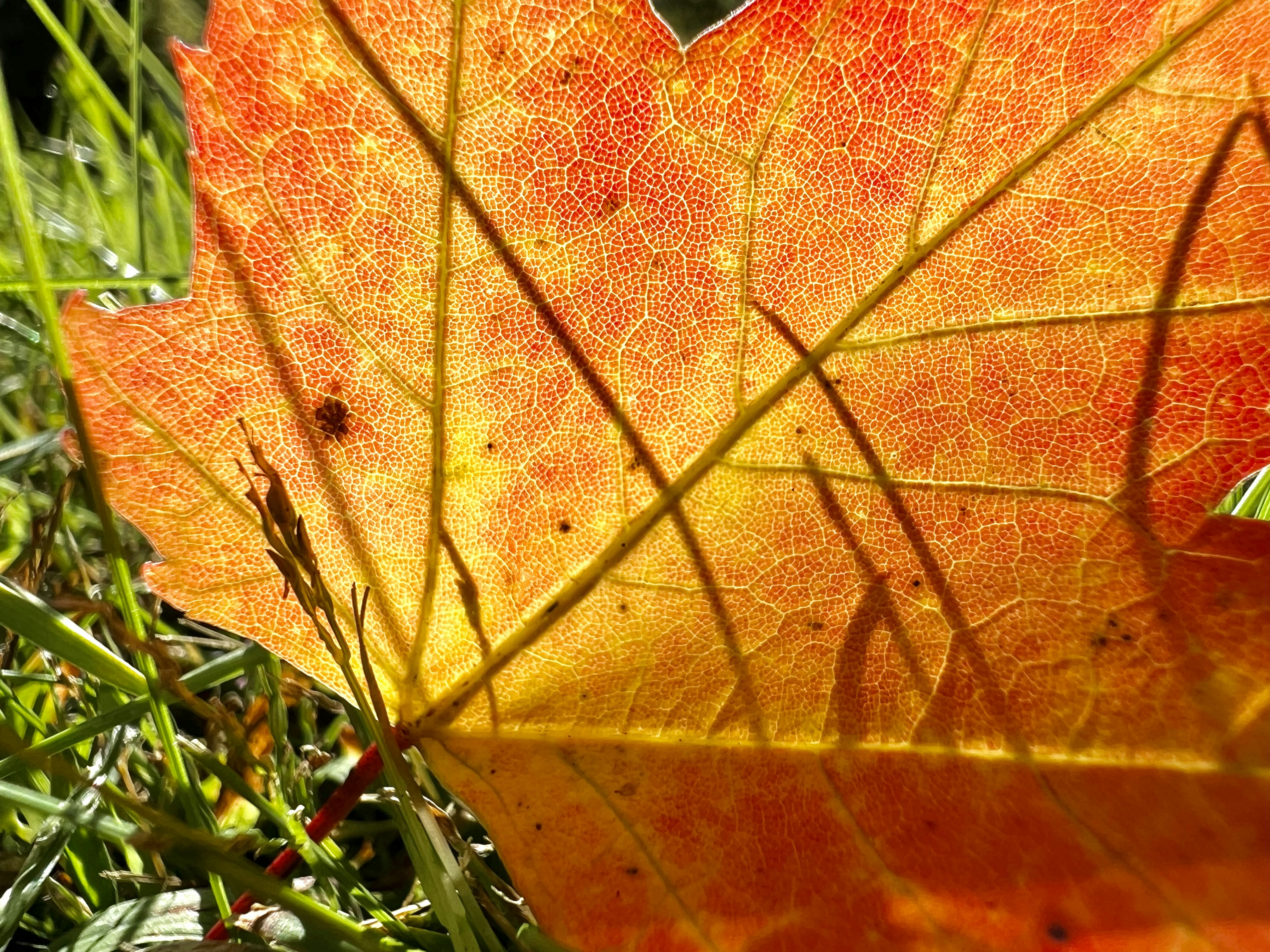 Photo by mike_loftus