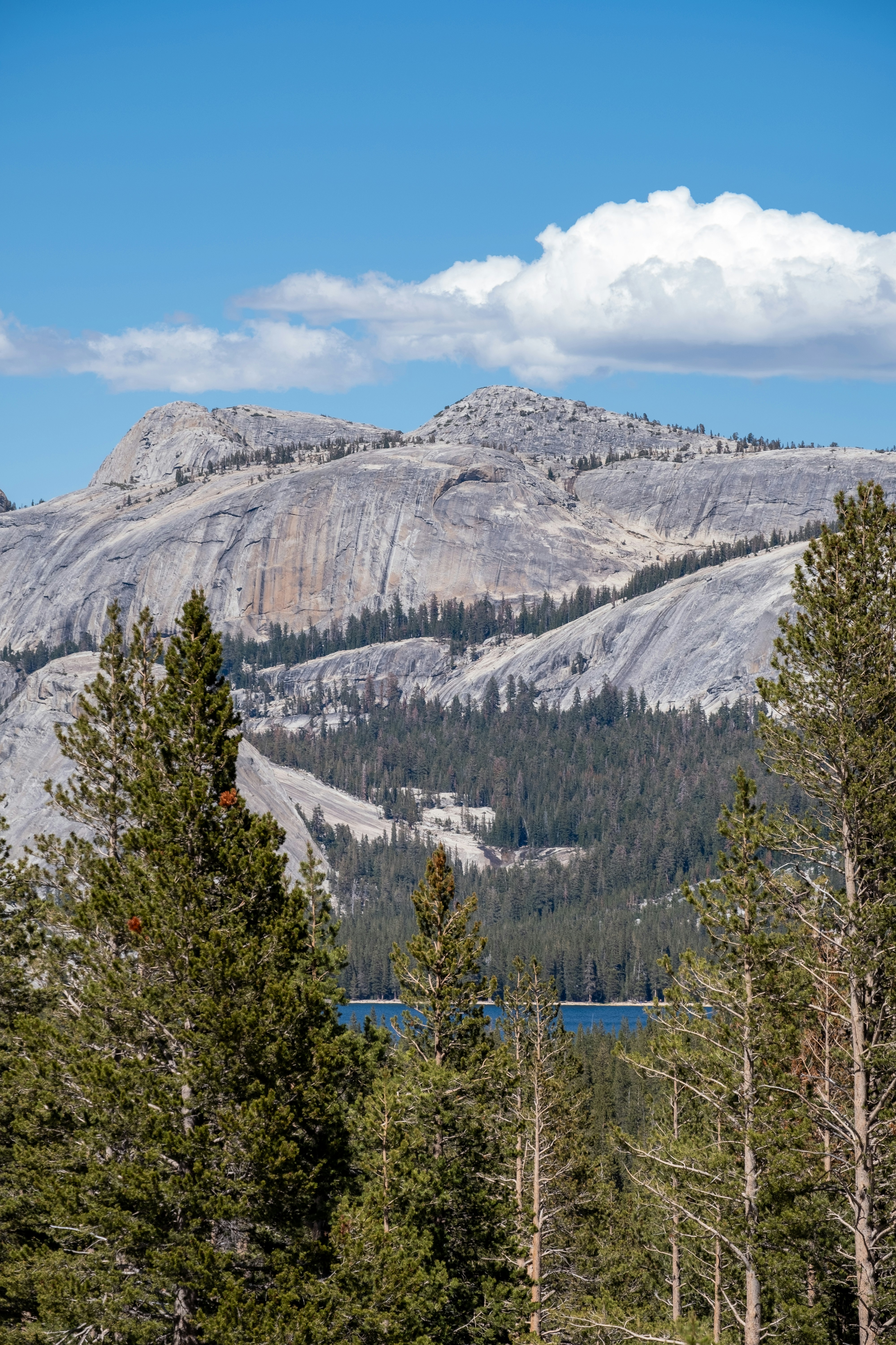 Photo by correliebre