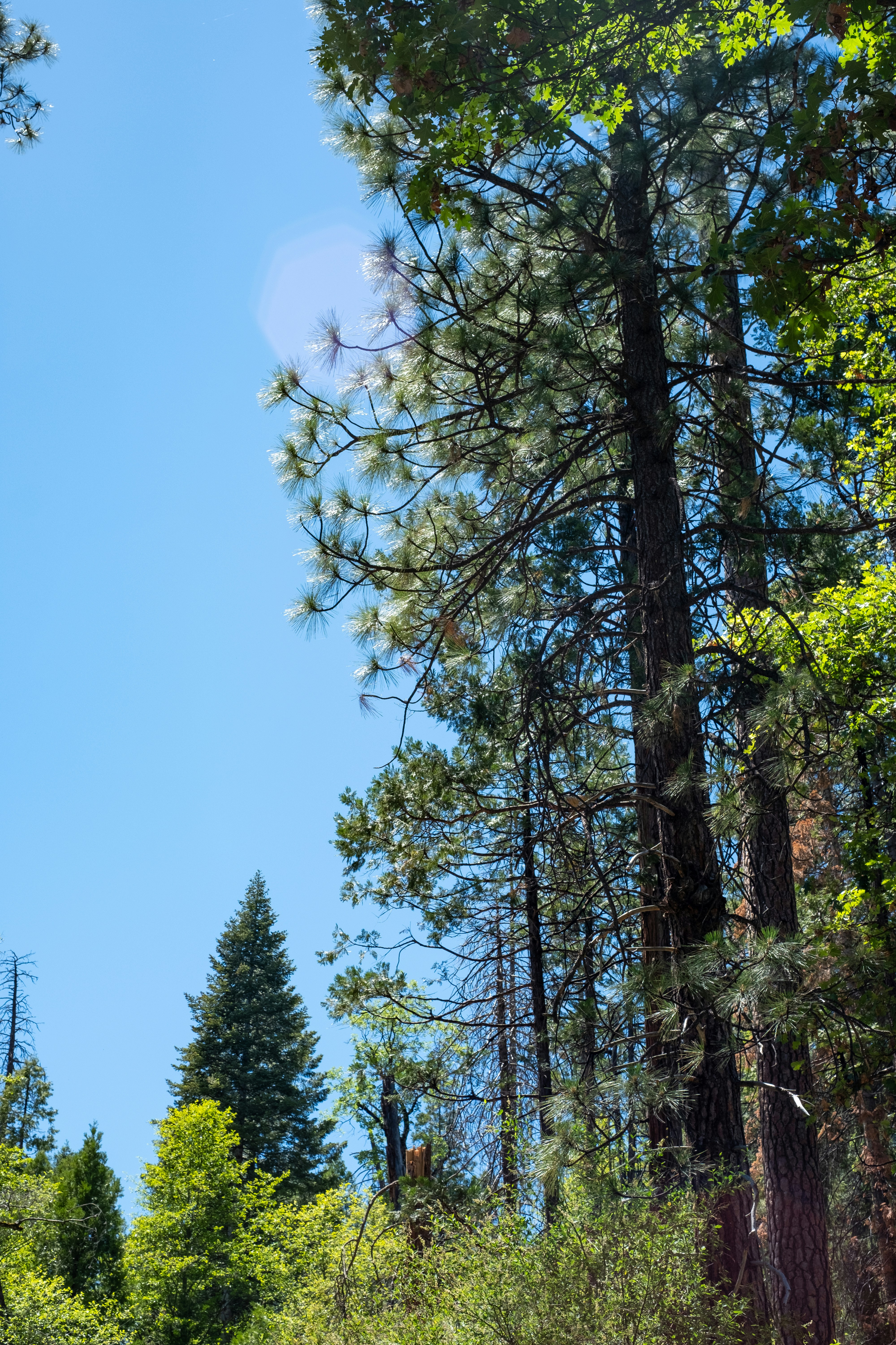 Photo by correliebre