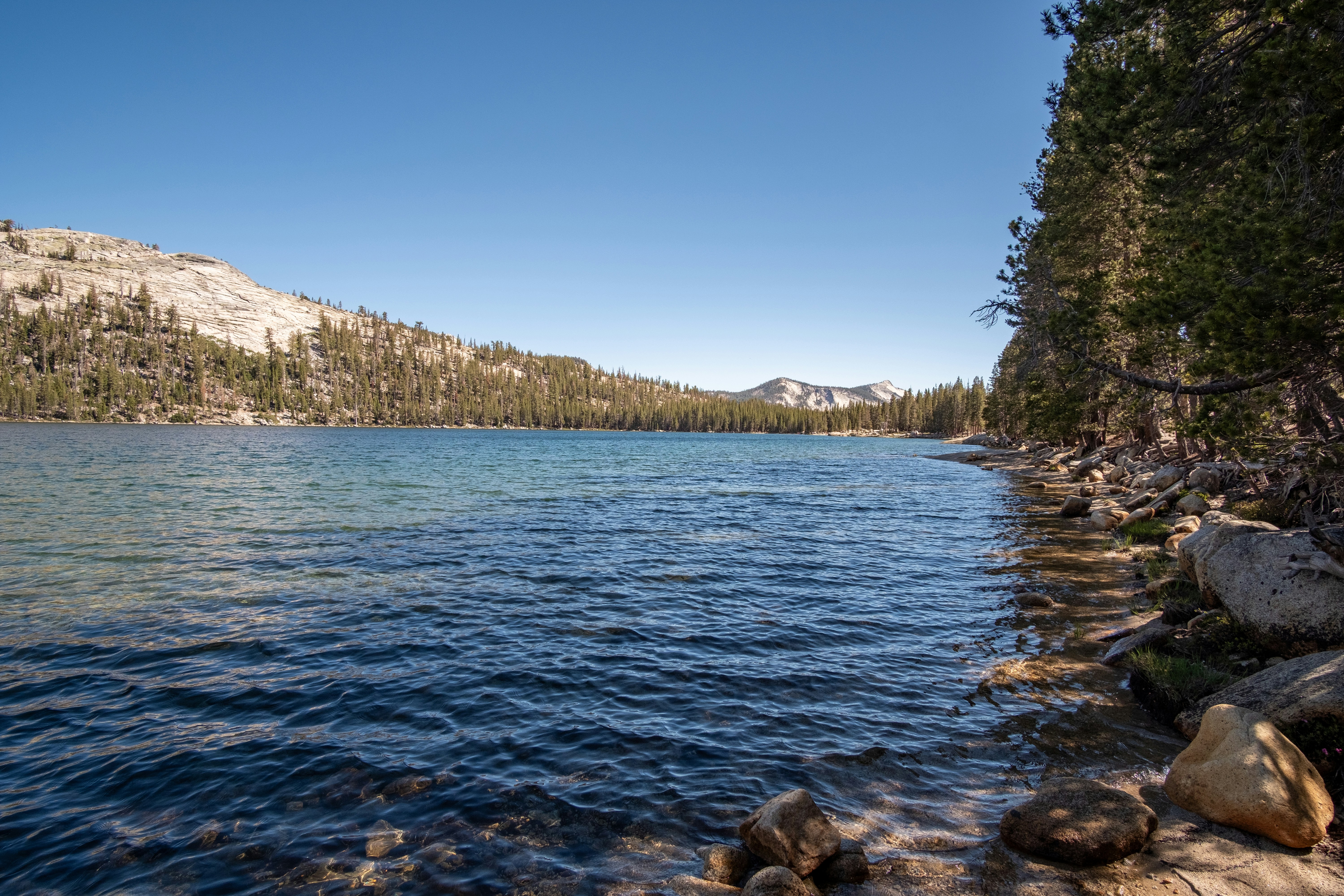 Photo by correliebre