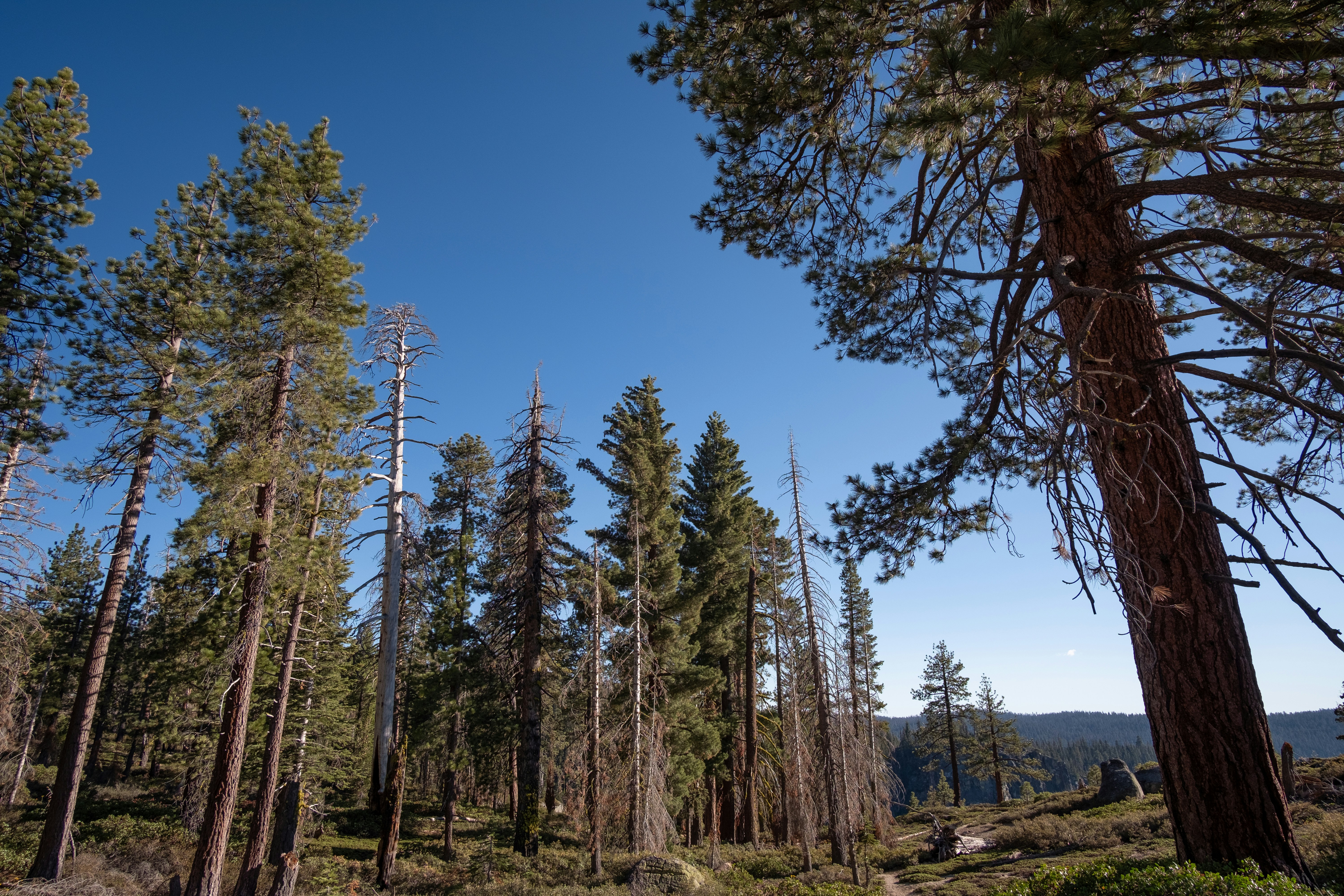 Photo by correliebre