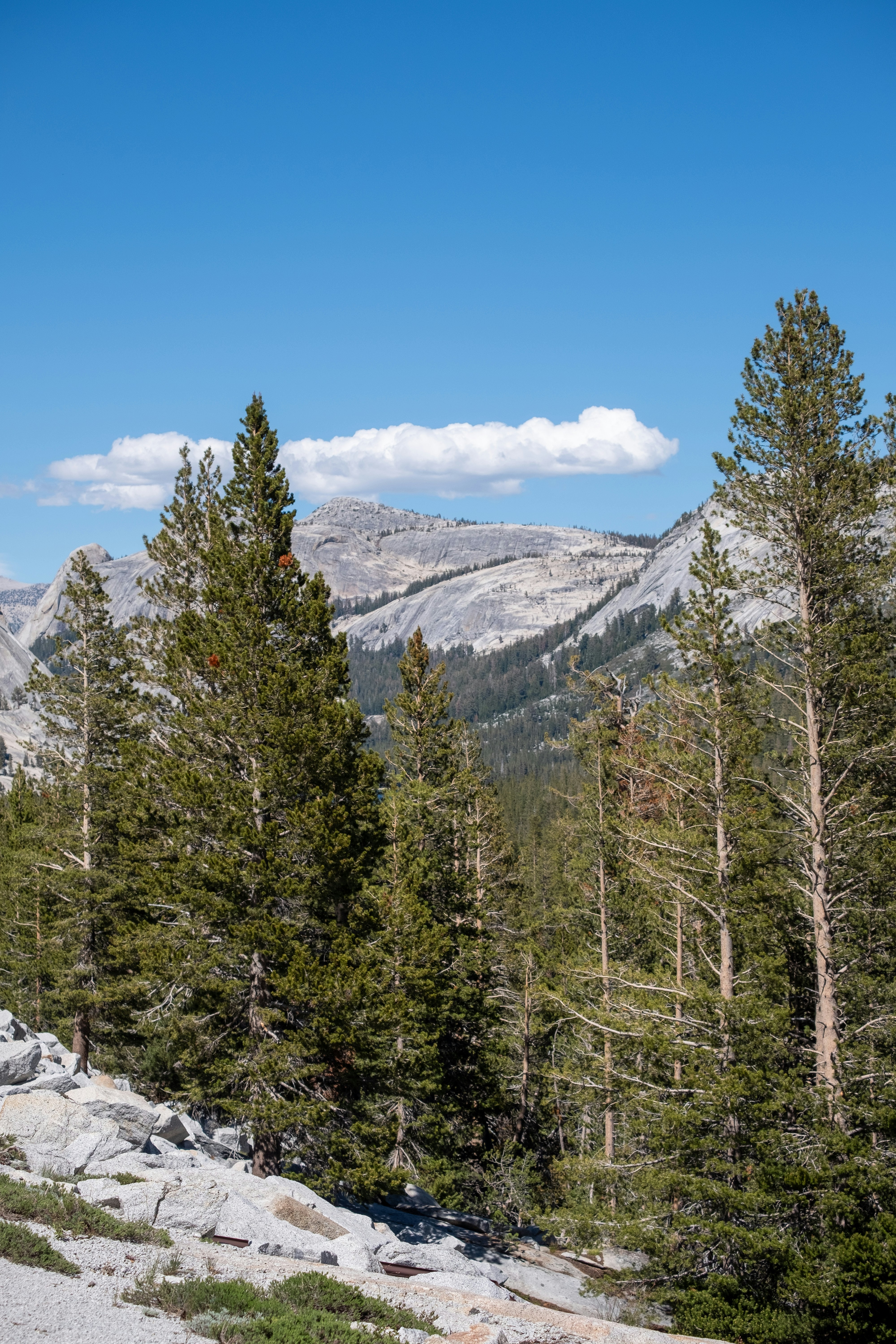 Photo by correliebre