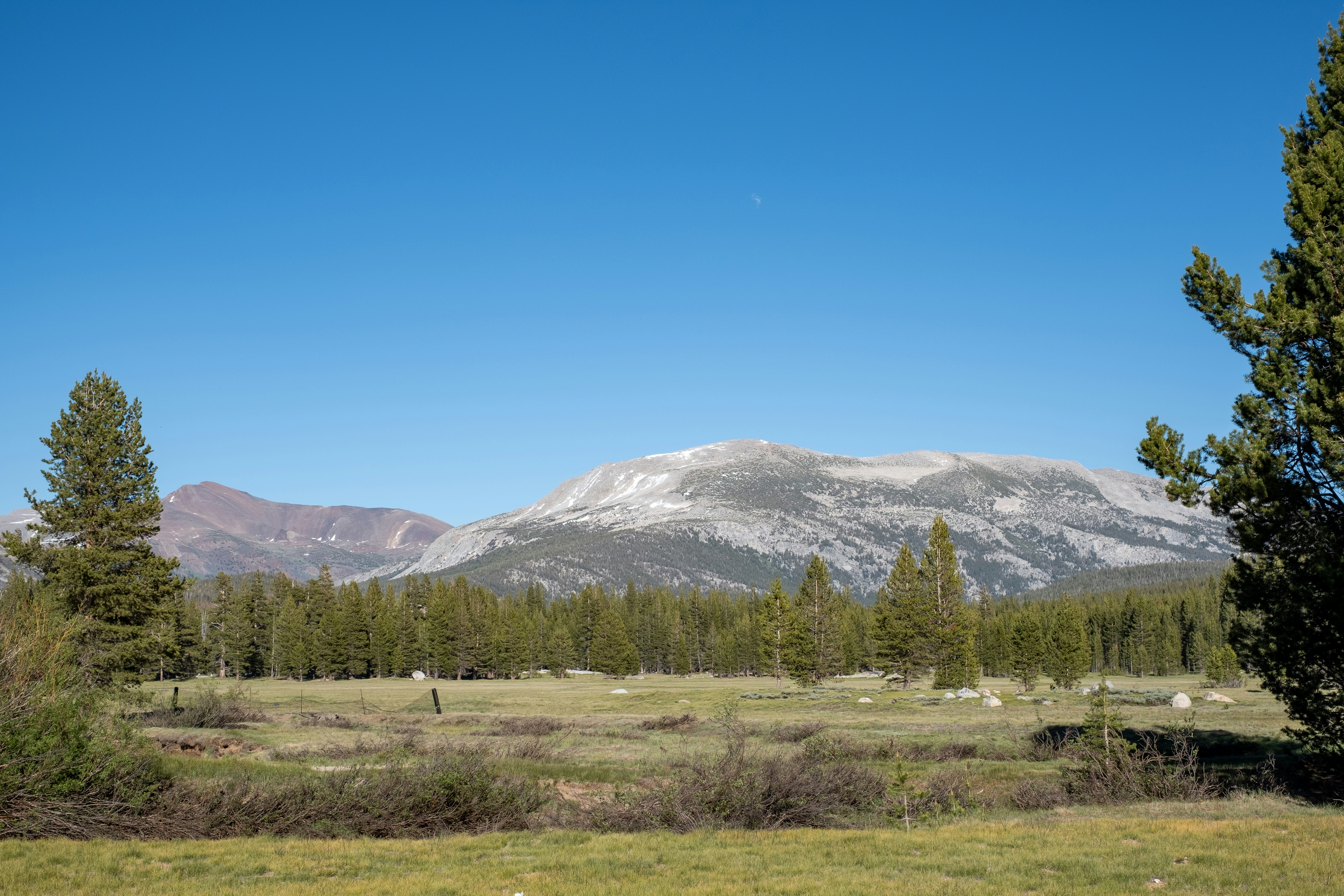 Photo by correliebre