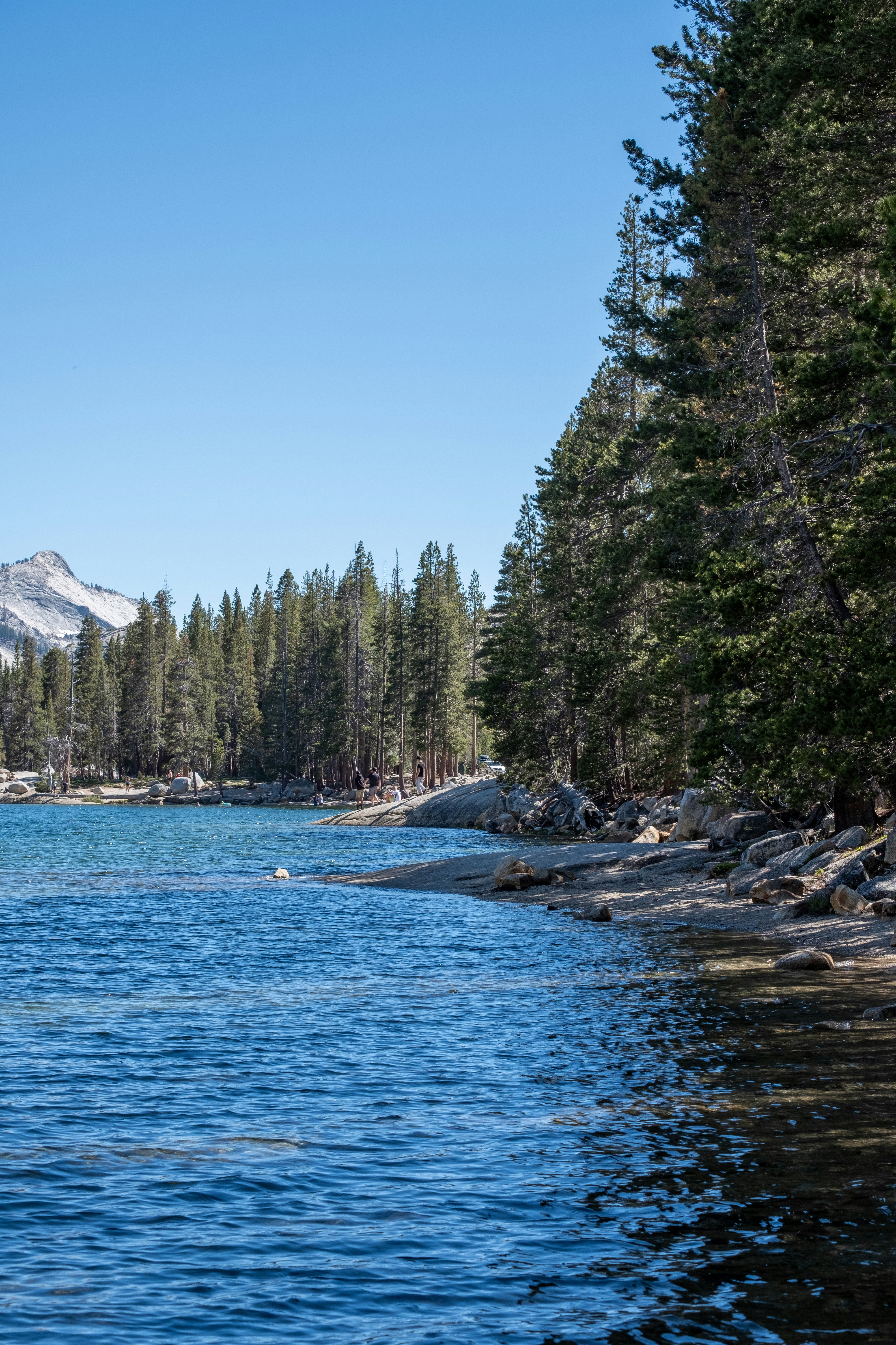 Photo by correliebre