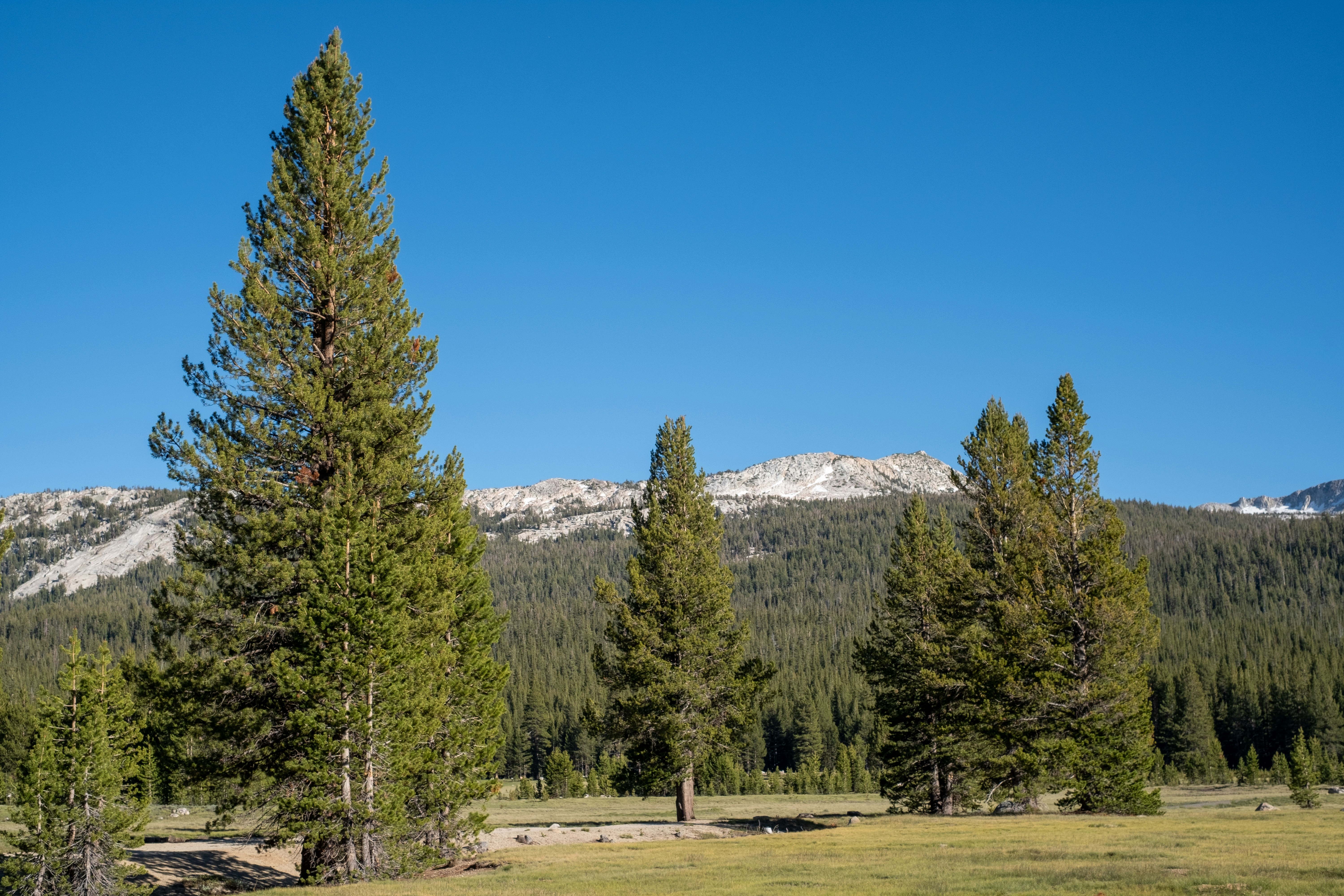 Photo by correliebre