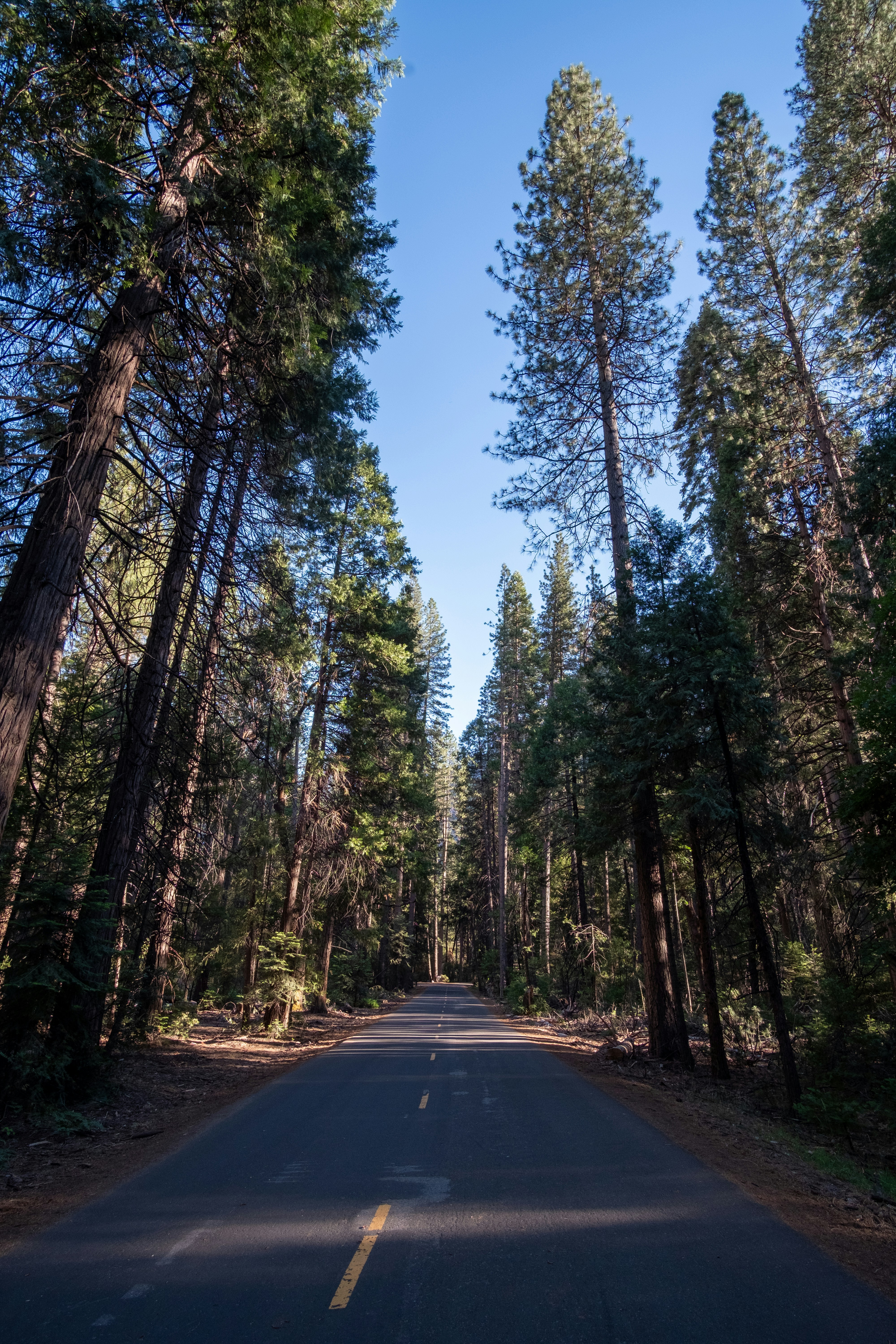 Photo by correliebre