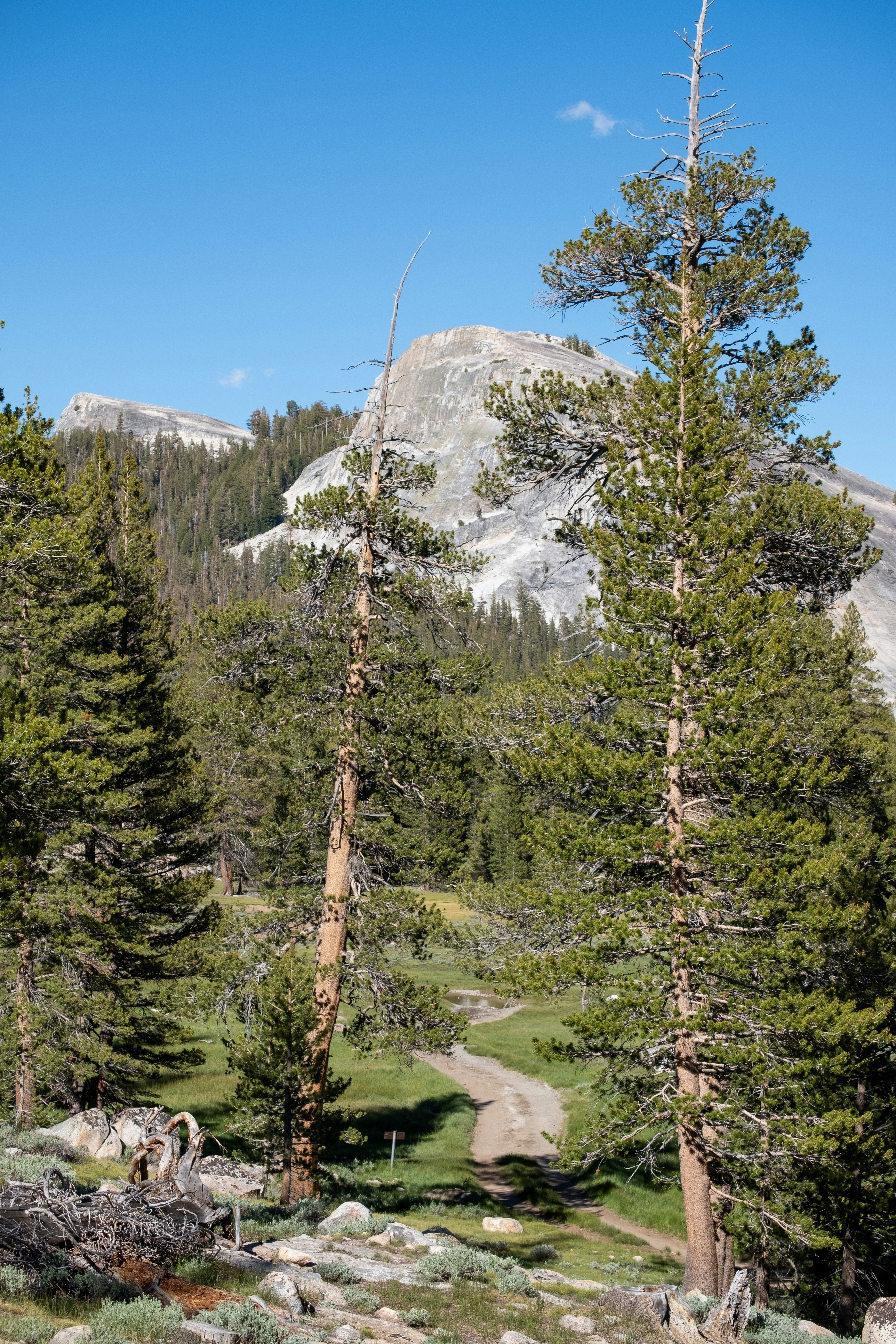 Photo by correliebre