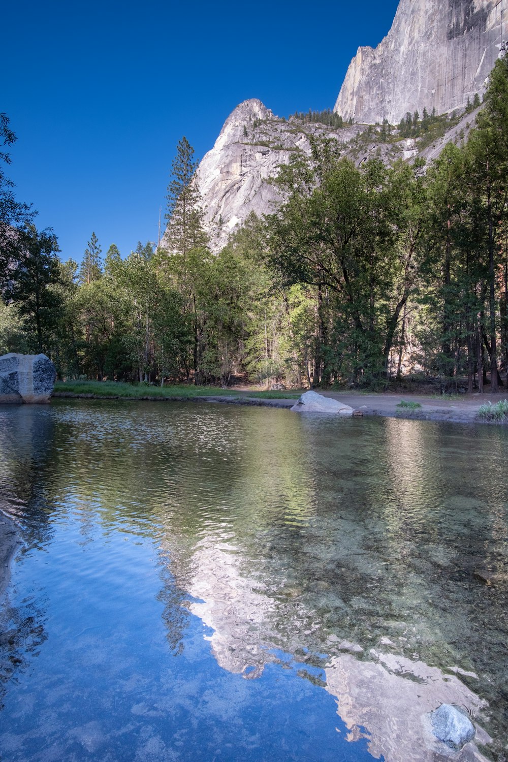 a body of water surrounded by trees and a mountain